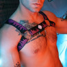 Breedwell Harnais Equalizer Noir-Rose neon